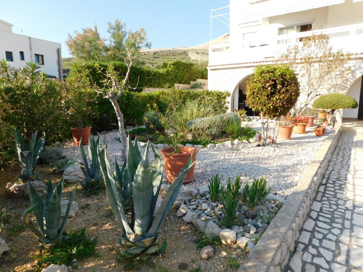 Apartmani Salus 帕格 外观 照片