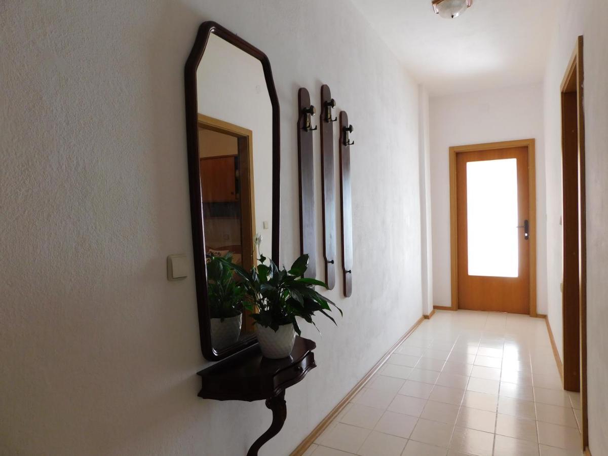 Apartmani Salus 帕格 外观 照片