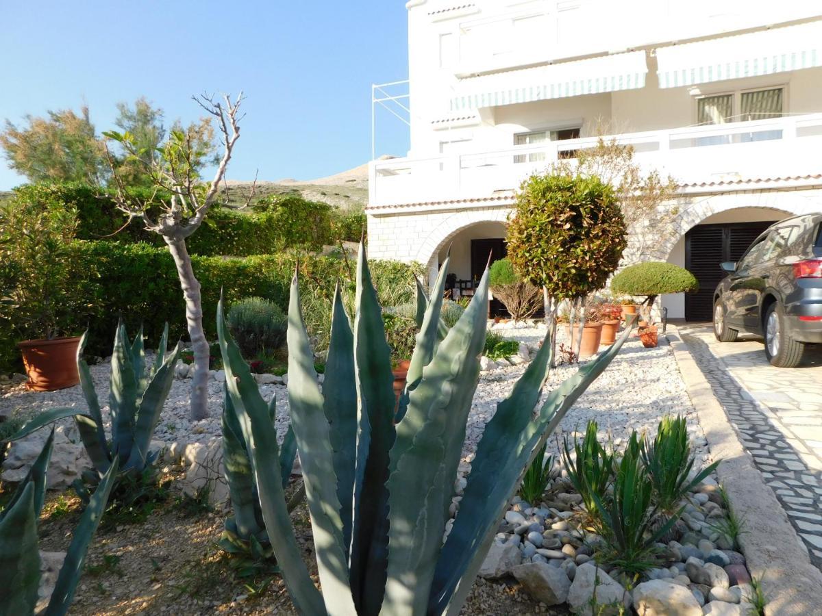 Apartmani Salus 帕格 外观 照片